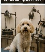 Scottsdale Pet Grooming