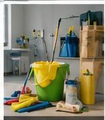 Profitable Cleaning Service