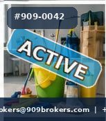 Profitable Cleaning Service